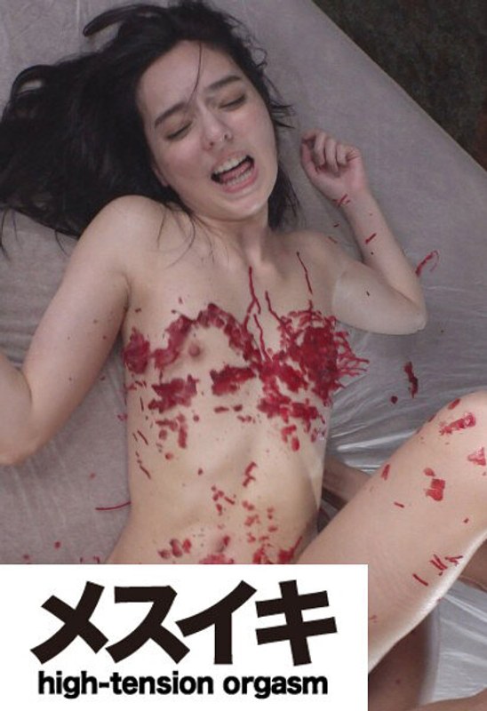 h 1617zzzm01449pl.jpg